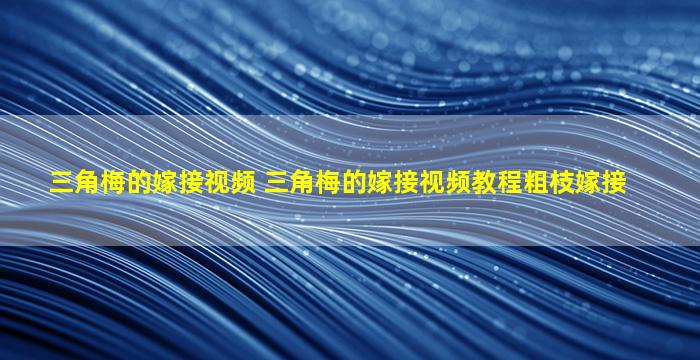 三角梅的嫁接视频 三角梅的嫁接视频教程粗枝嫁接